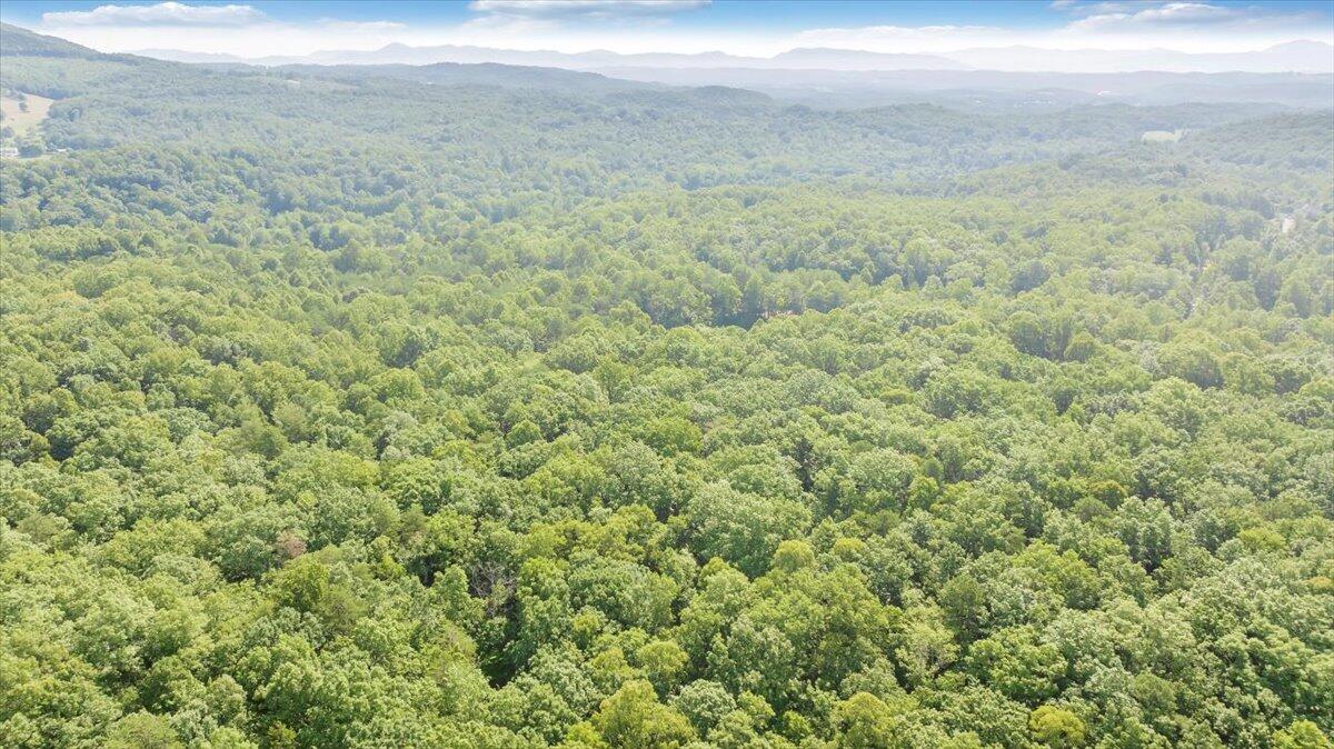 2821 Lees Gap Road Fincastle, VA 24090 - Photo 59 of 61 59-DJI_20240626095432_0052_D_MIB