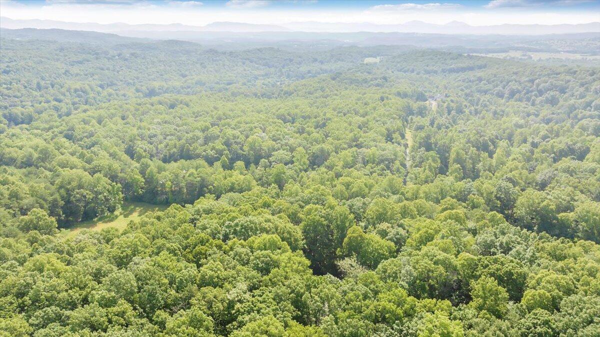 2821 Lees Gap Road Fincastle, VA 24090 - Photo 60 of 61 60-DJI_20240626095457_0053_D_MIB