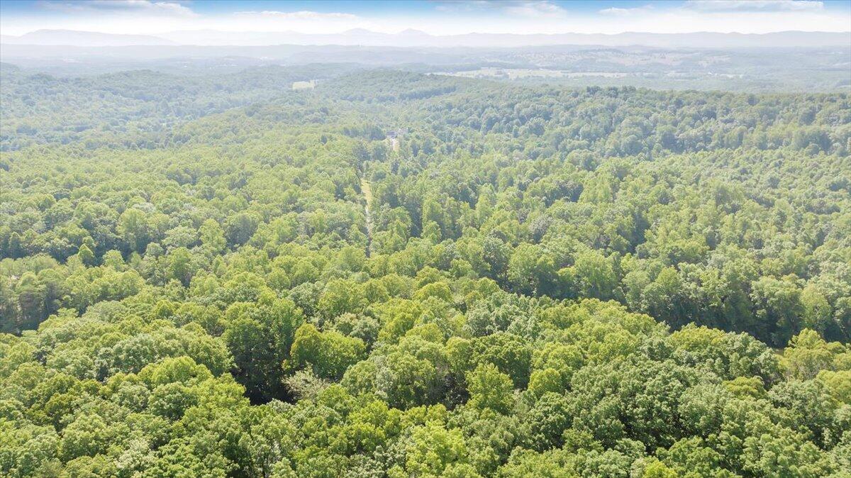 2821 Lees Gap Road Fincastle, VA 24090 - Photo 61 of 61 61-DJI_20240626095505_0054_D_MIB