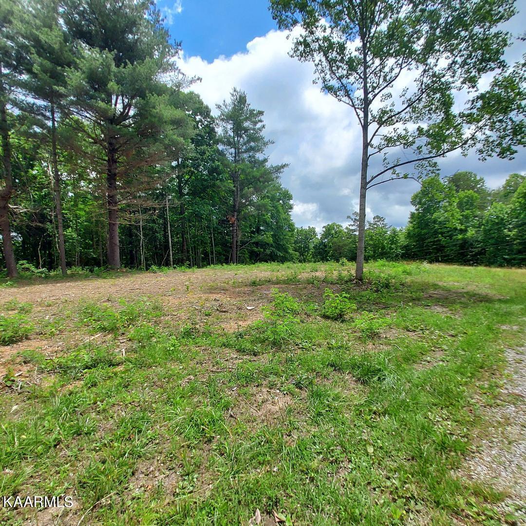 Terry Road Oneida, TN 37841 - Photo 2 of 9 thumbnail (8)