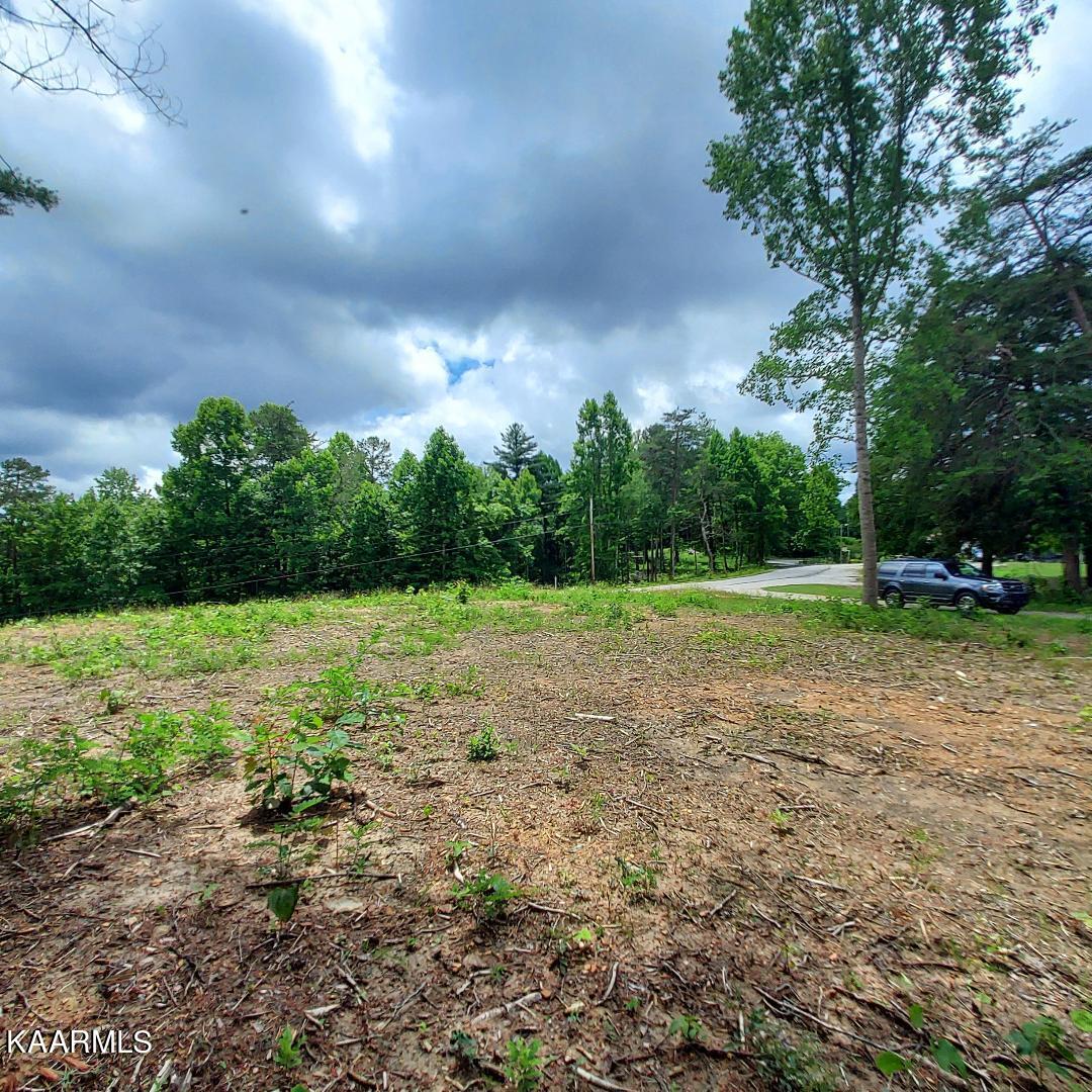 Terry Road Oneida, TN 37841 - Photo 6 of 9 thumbnail (3)