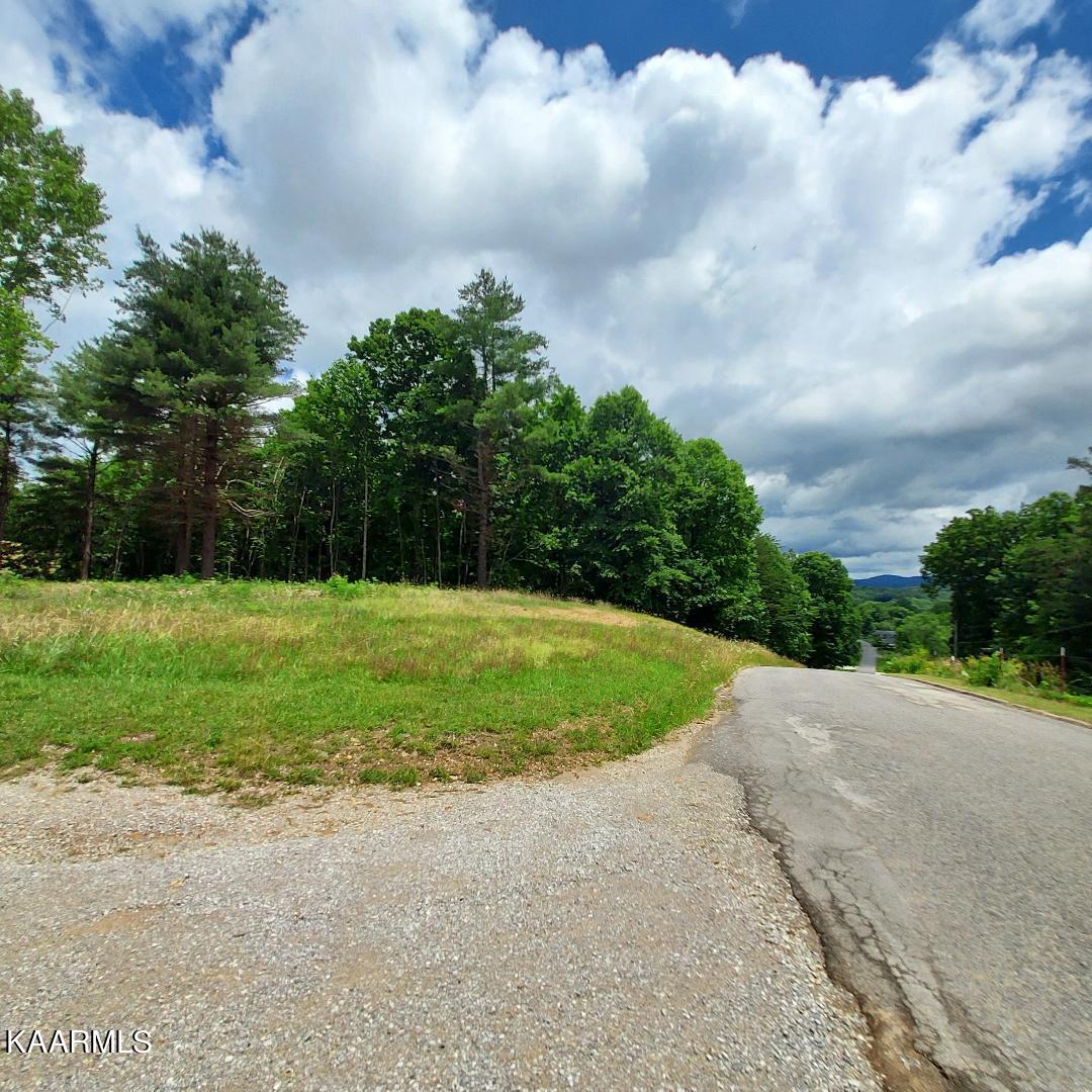 Terry Road Oneida, TN 37841 - Photo 7 of 9 thumbnail (2)