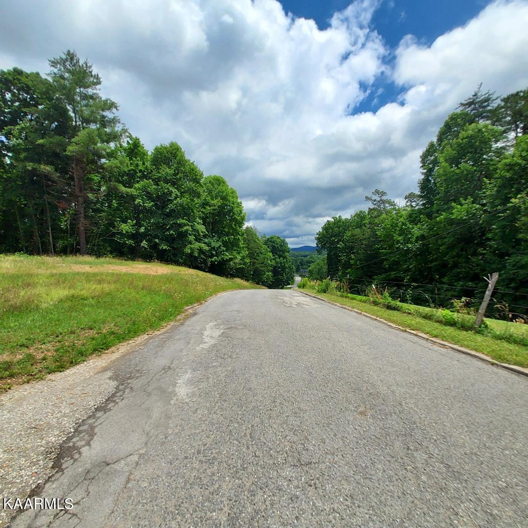 Terry Road Oneida, TN 37841 - Photo 8 of 9 thumbnail (1)