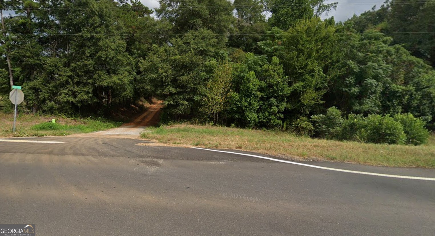 0 Grubbs Road Abbeville, AL 36373 - Photo 4 of 7