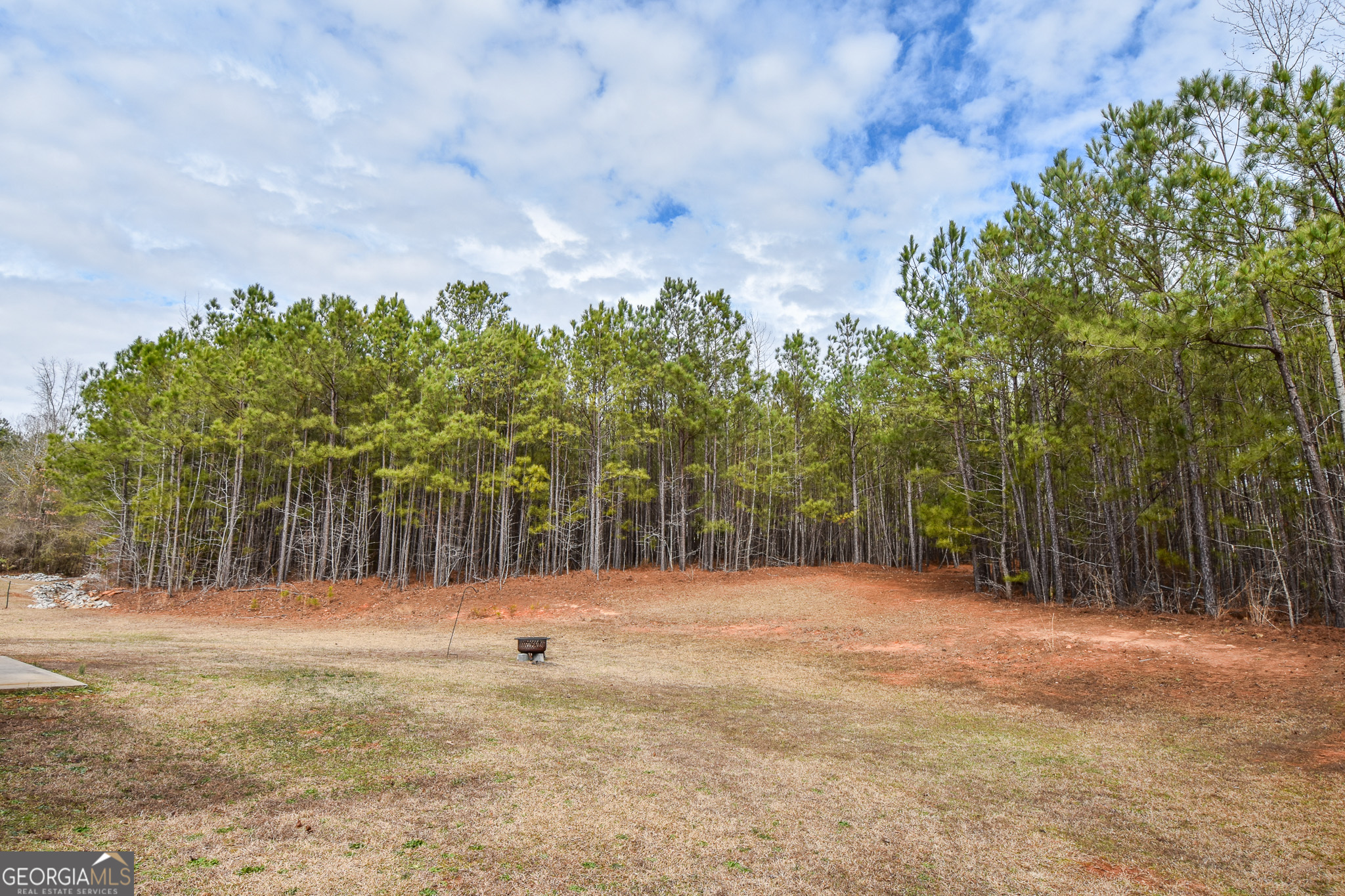 117 Bridle Path Griffin, GA 30224 - Photo 6 of 48