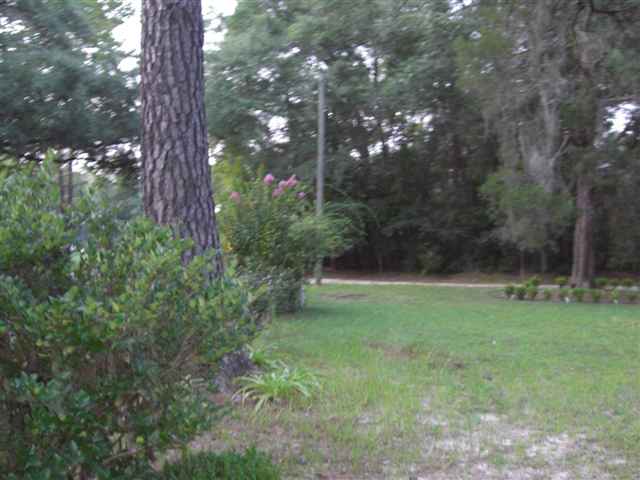 300 River Road Havana, FL 32333 - Photo 1 of 15 Gallery Image 1