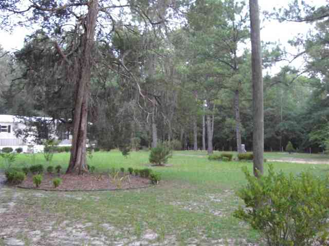 300 River Road Havana, FL 32333 - Photo 13 of 15 Gallery Image 13