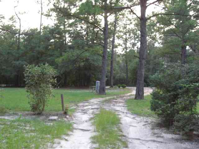 300 River Road Havana, FL 32333 - Photo 2 of 15 Gallery Image 2