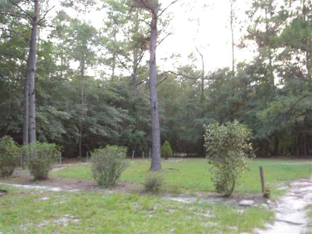 300 River Road Havana, FL 32333 - Photo 3 of 15 Gallery Image 3
