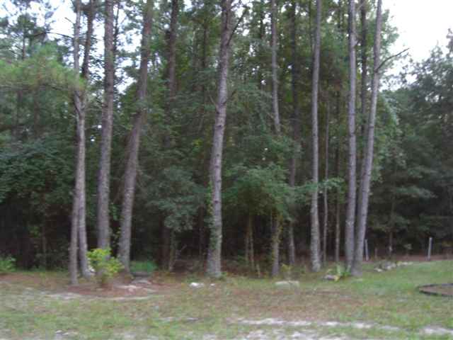 300 River Road Havana, FL 32333 - Photo 4 of 15 Gallery Image 4