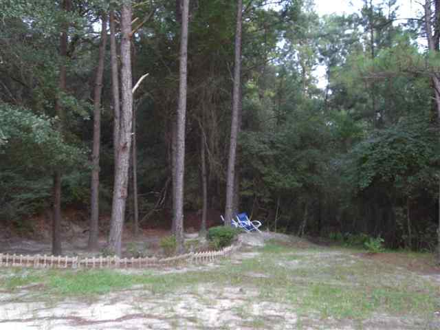 300 River Road Havana, FL 32333 - Photo 5 of 15 Gallery Image 5