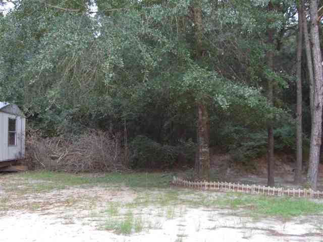 300 River Road Havana, FL 32333 - Photo 6 of 15 Gallery Image 6
