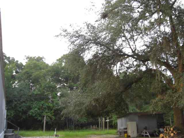 300 River Road Havana, FL 32333 - Photo 7 of 15 Gallery Image 7