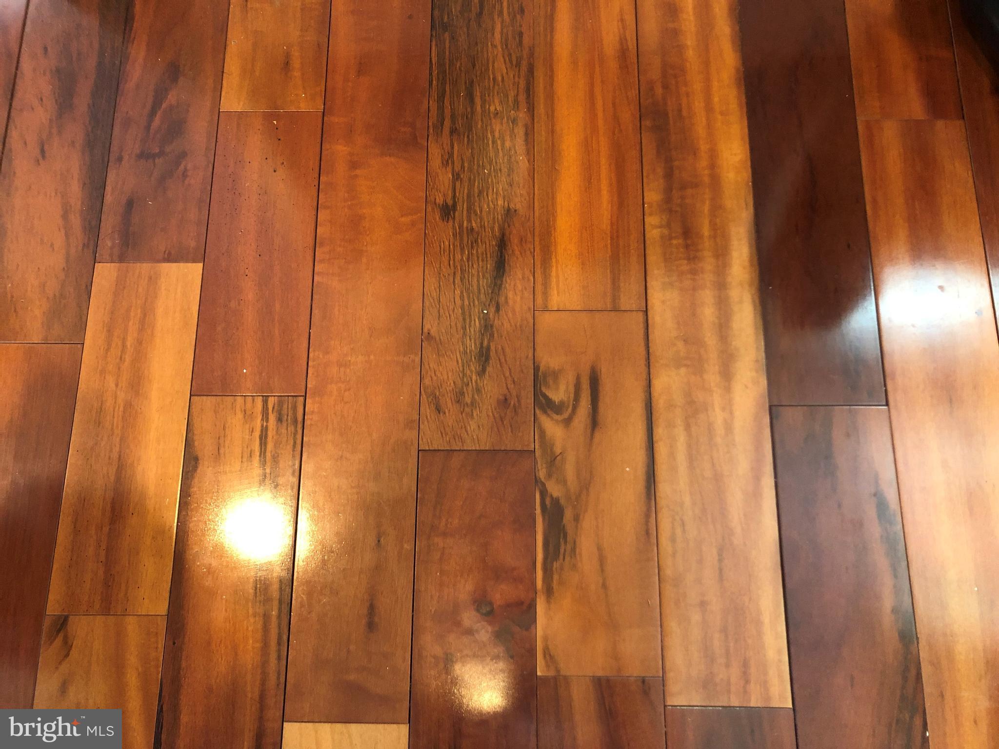 207 Mallow Hill Road Baltimore, MD 21229 - Photo 13 of 65 Hardwood Floor on Main Level