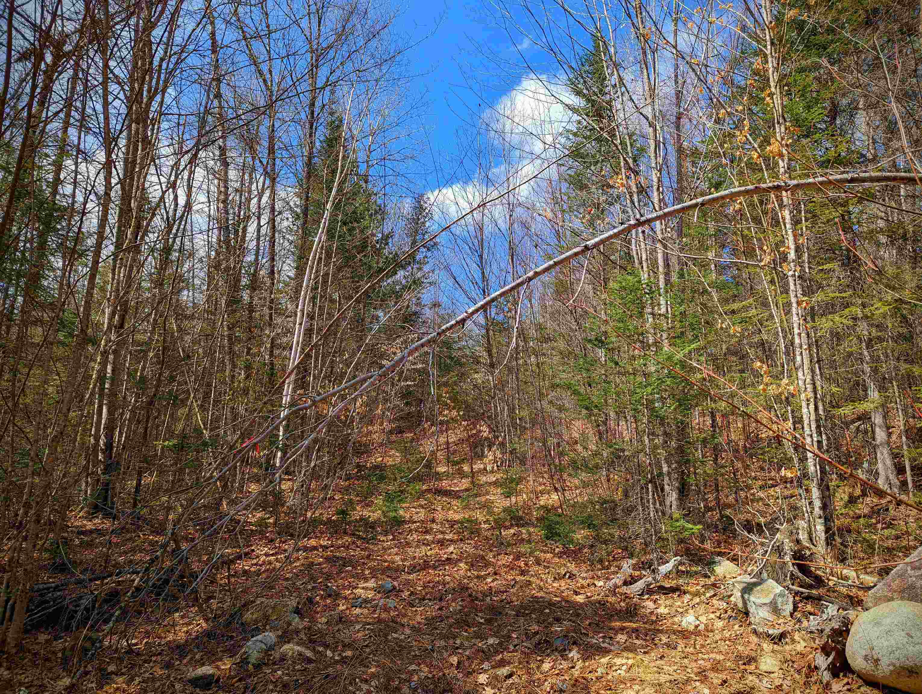 0 Fawn Road Dalton, NH 03598 - Photo 11 of 13