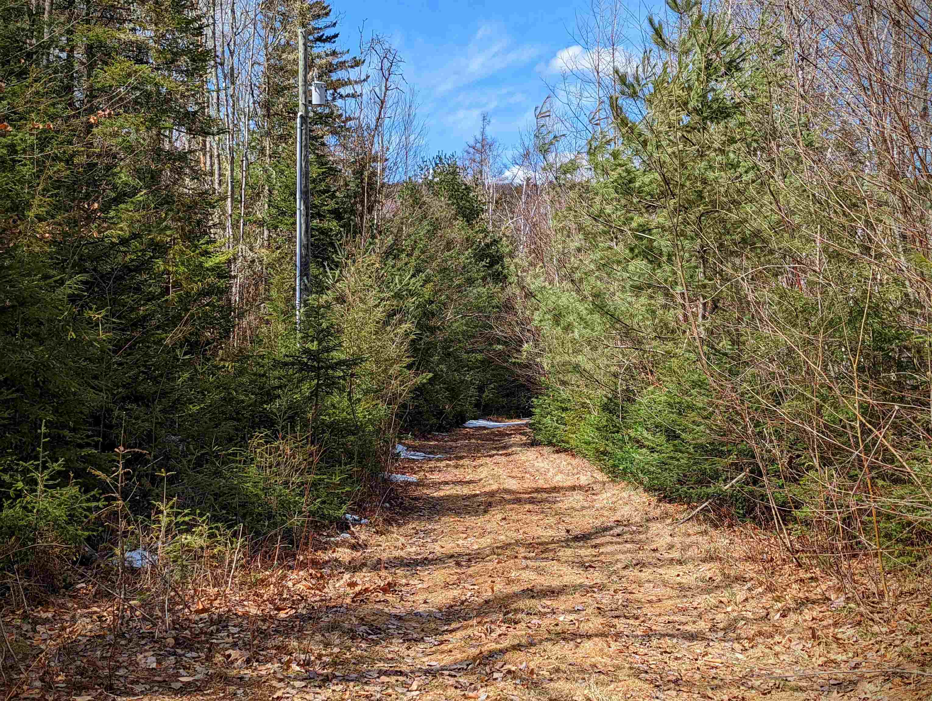 0 Fawn Road Dalton, NH 03598 - Photo 5 of 13