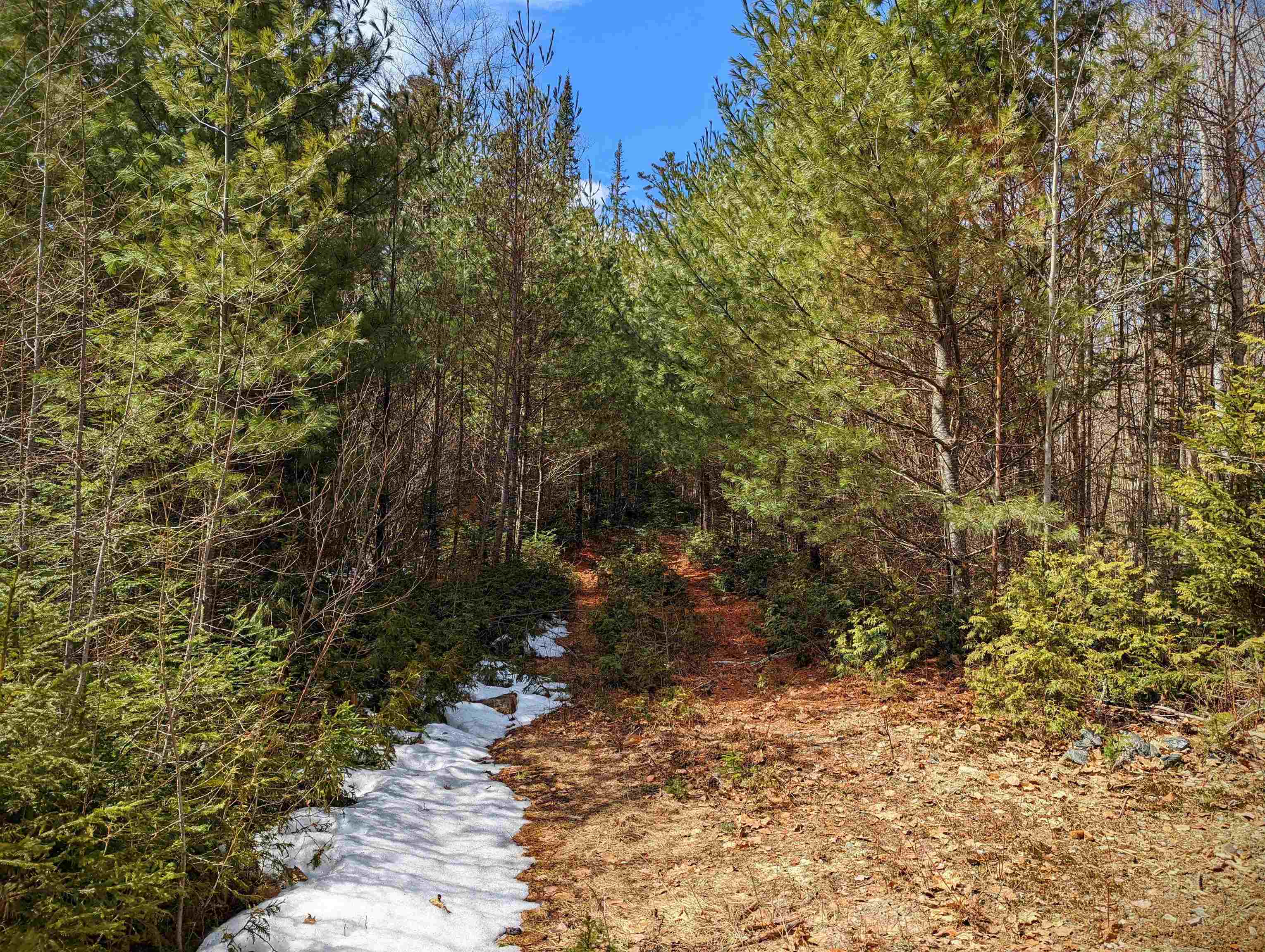 0 Fawn Road Dalton, NH 03598 - Photo 6 of 13