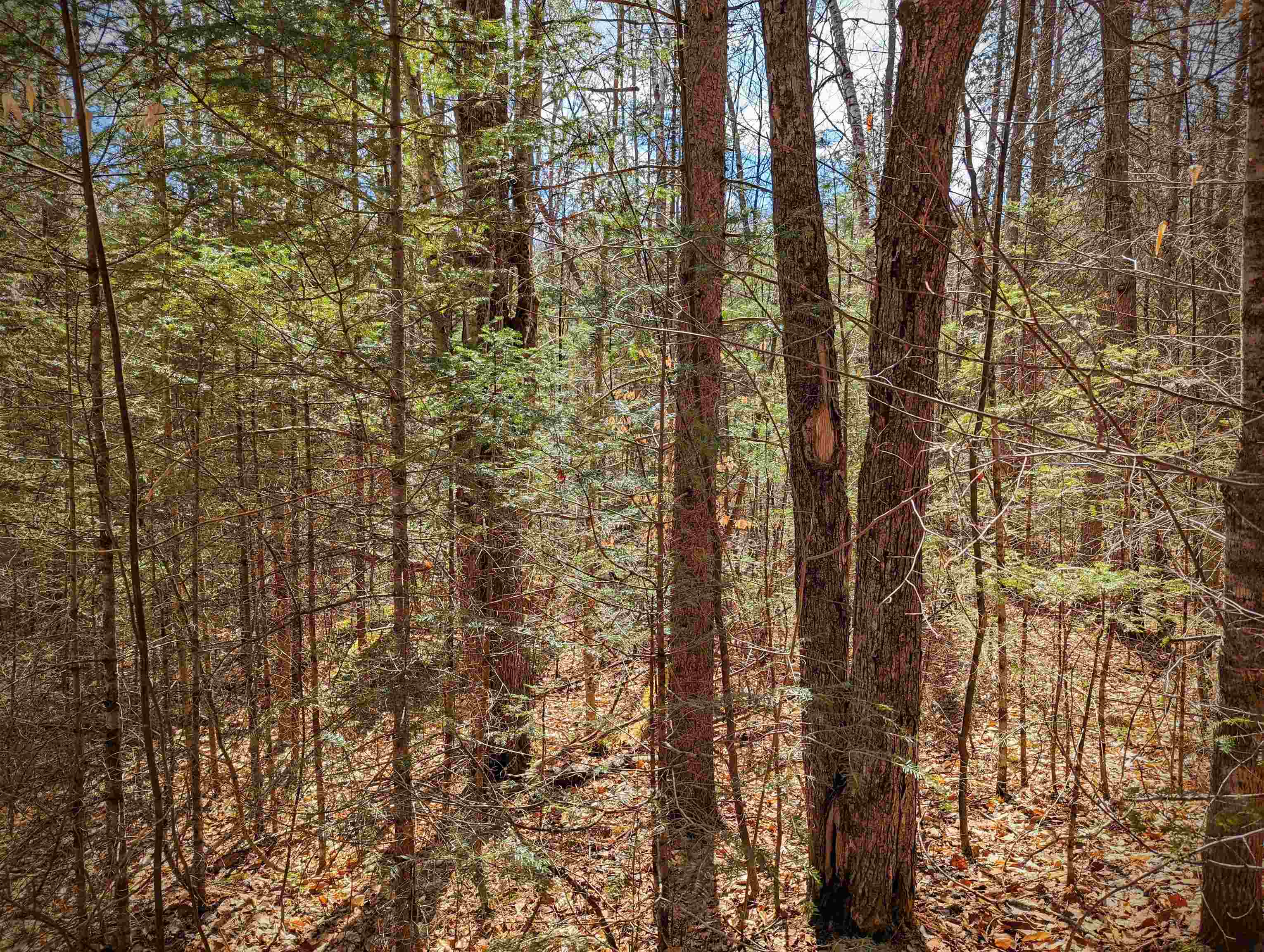 0 Fawn Road Dalton, NH 03598 - Photo 7 of 13
