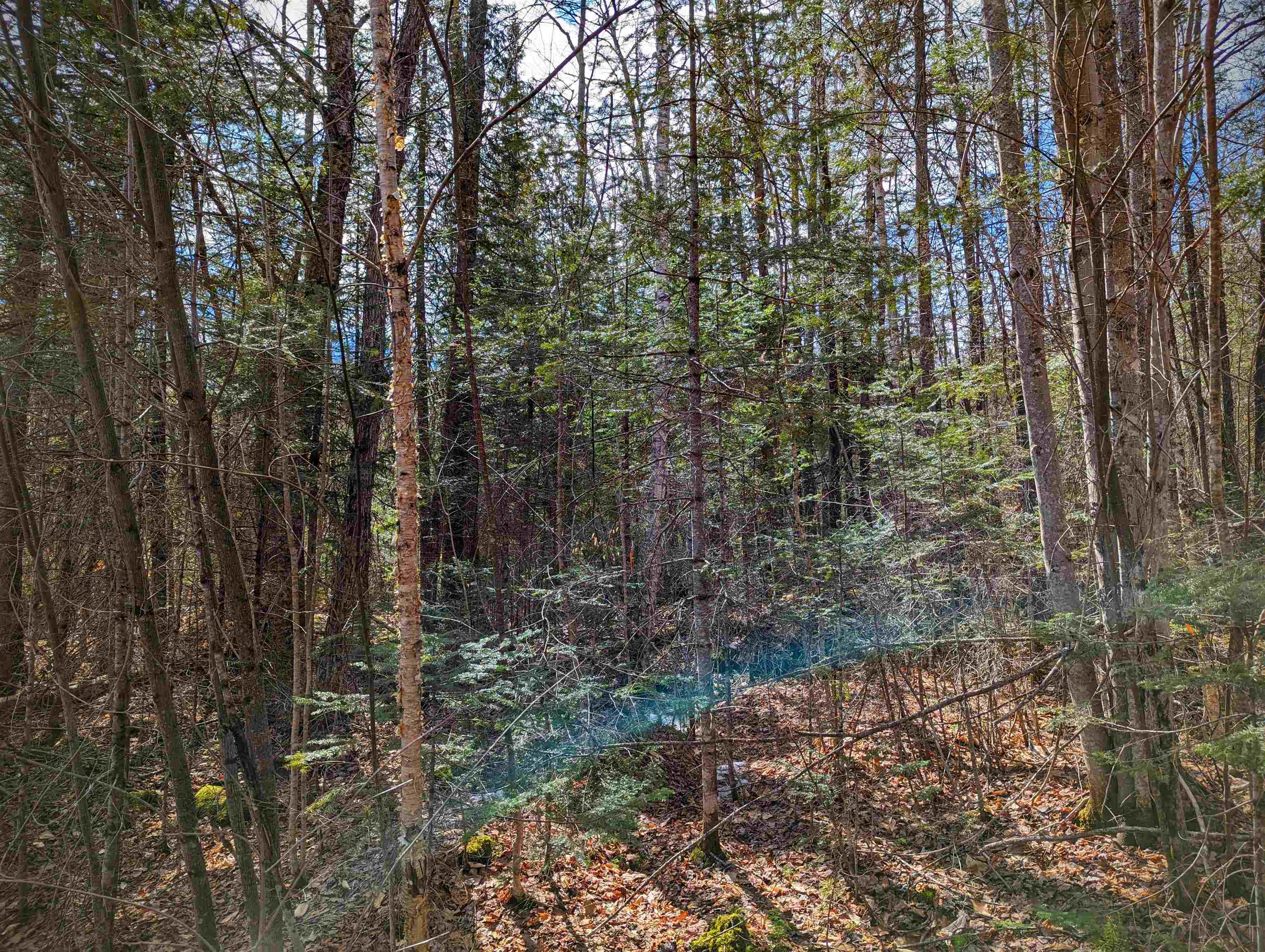0 Fawn Road Dalton, NH 03598 - Photo 10 of 13