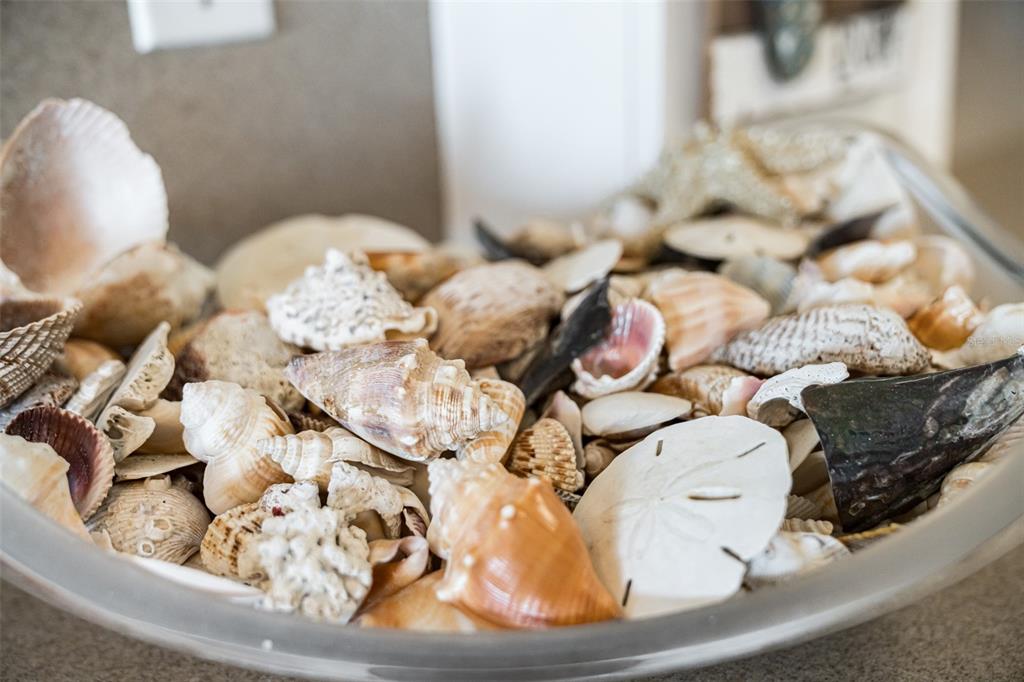 60 Gulf Boulevard, Unit 203 Indian Rocks Beach, FL 33785 - Photo 42 of 53