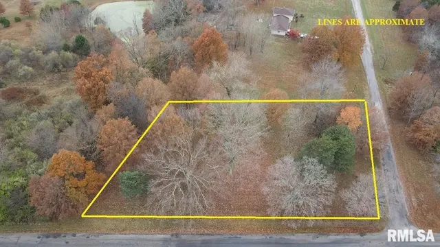 a view of bathtub with wooden floor