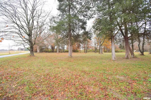 a view of yard with trees