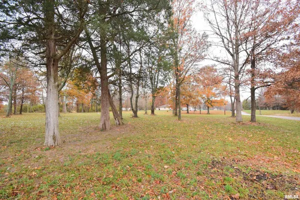 a view of yard with trees