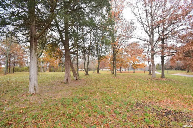 a view of yard with trees