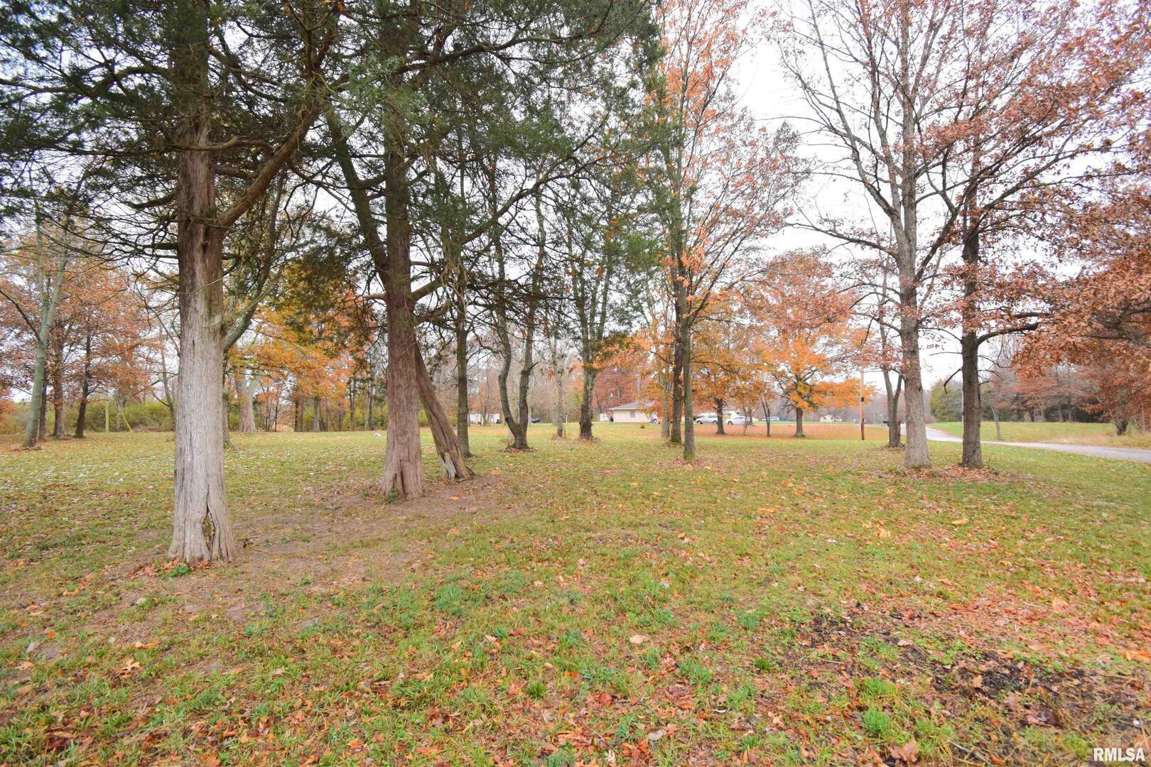 0 East Cedar Hls Road Mount Vernon, IL 62864 - Photo 4 of 5