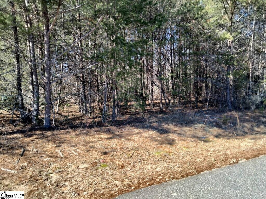 15 Sawblade Ridge Marietta, SC 29661 - Photo 3 of 9 Gallery Image 3