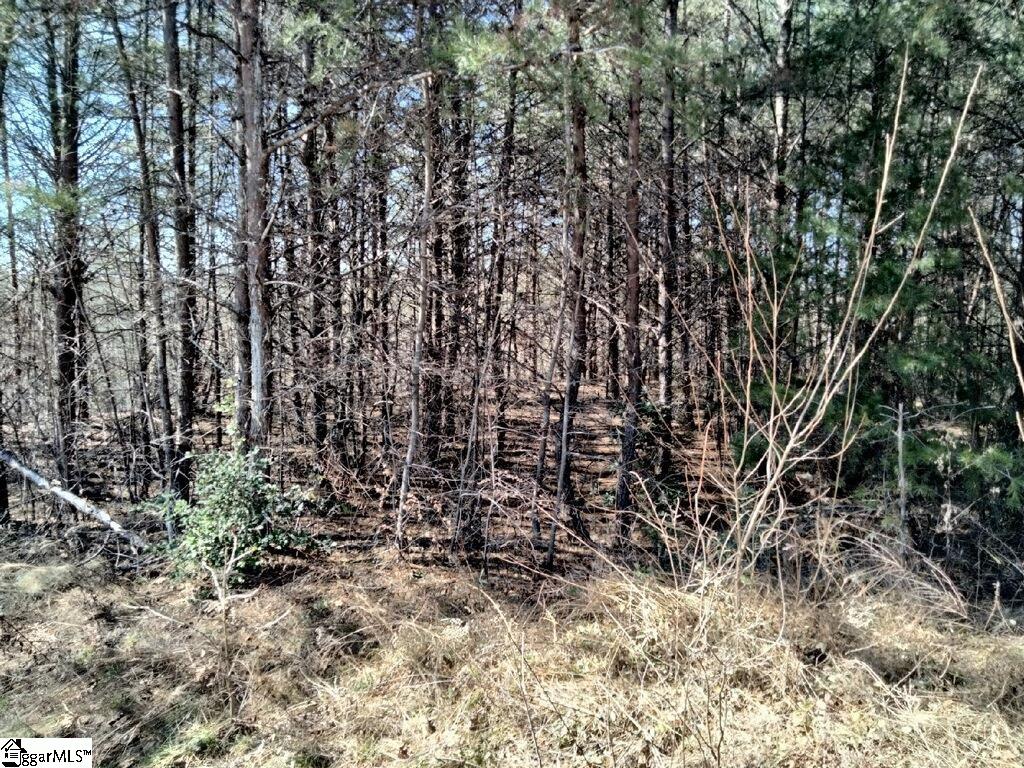15 Sawblade Ridge Marietta, SC 29661 - Photo 5 of 9 Gallery Image 5