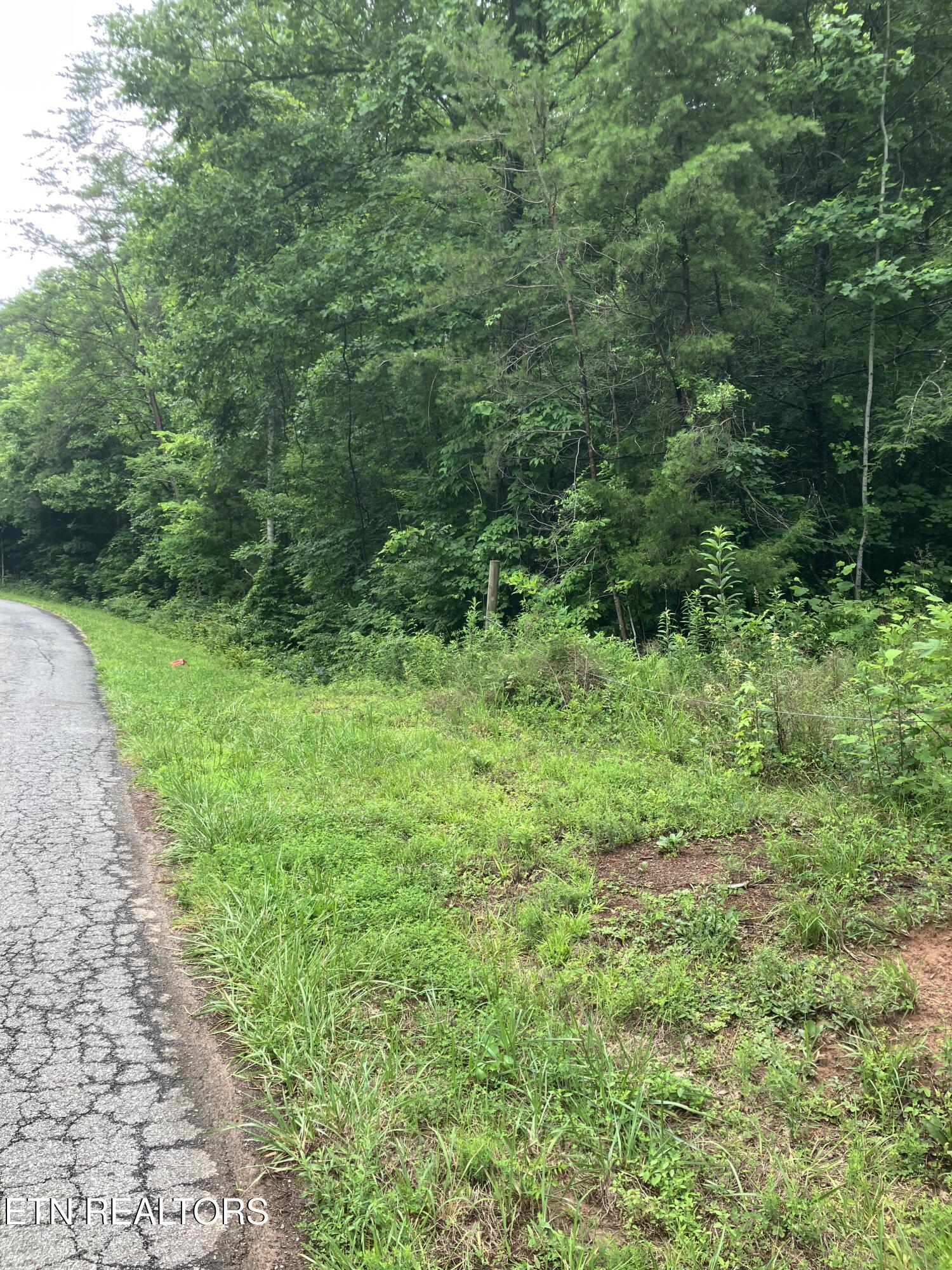 4 3 Point Road Vonore, TN 37885 - Photo 5 of 12 Tract 4-3 Point Rd-4