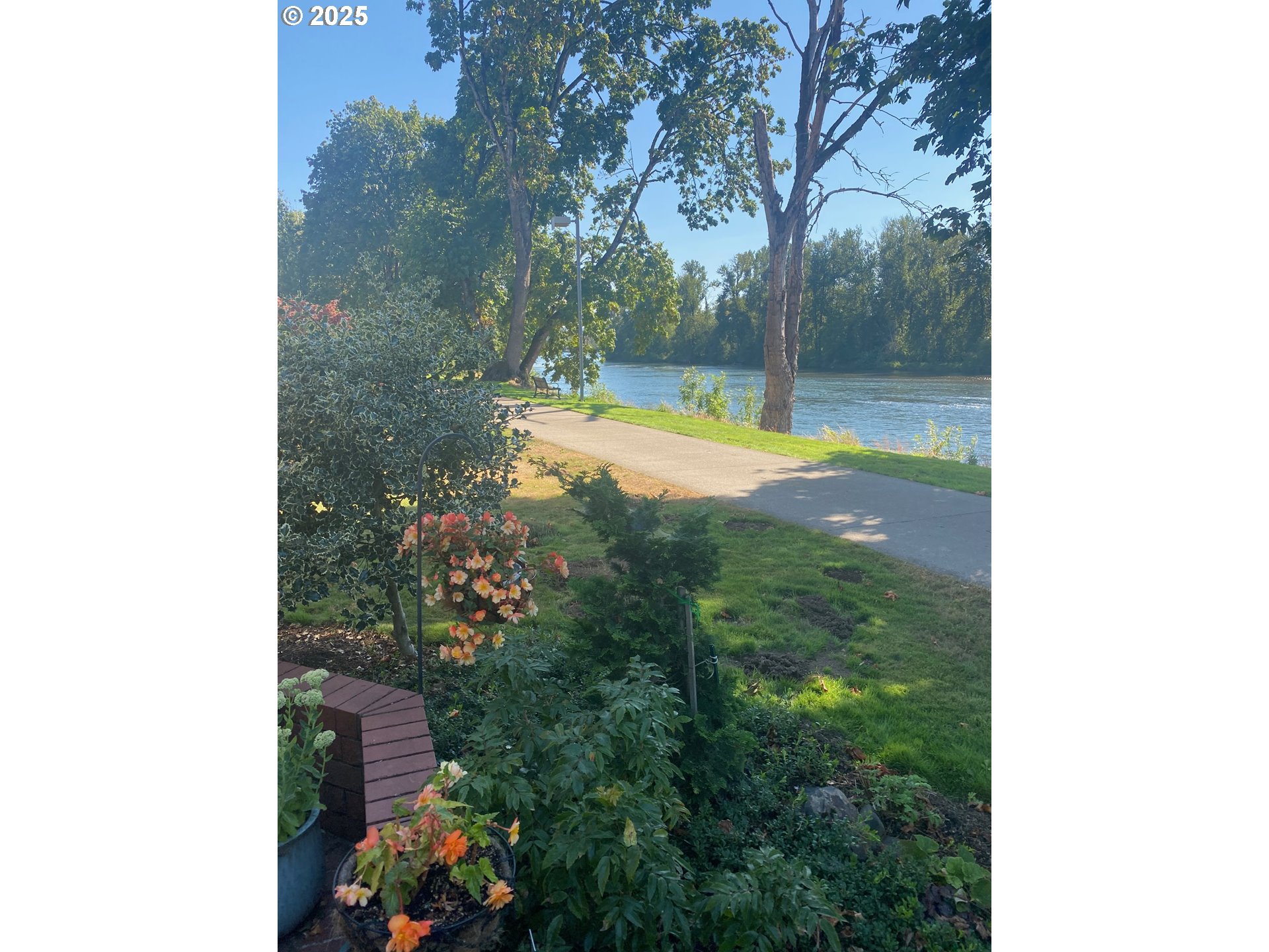 579 Wimbledon Court Eugene, OR 97401 - Photo 2 of 46 a view of a yard in front of the house