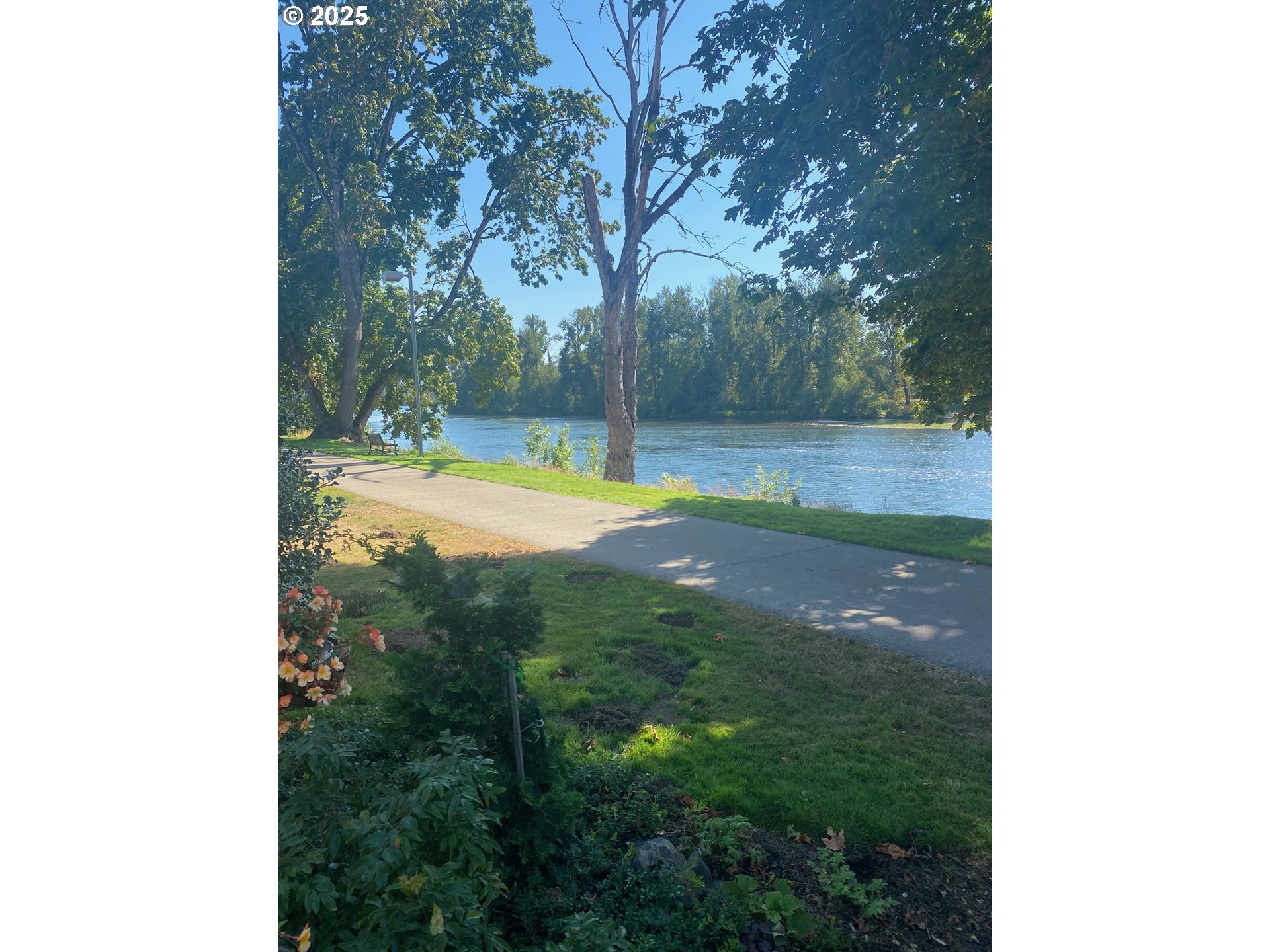 579 Wimbledon Court Eugene, OR 97401 - Photo 4 of 46 a view of a yard with large trees