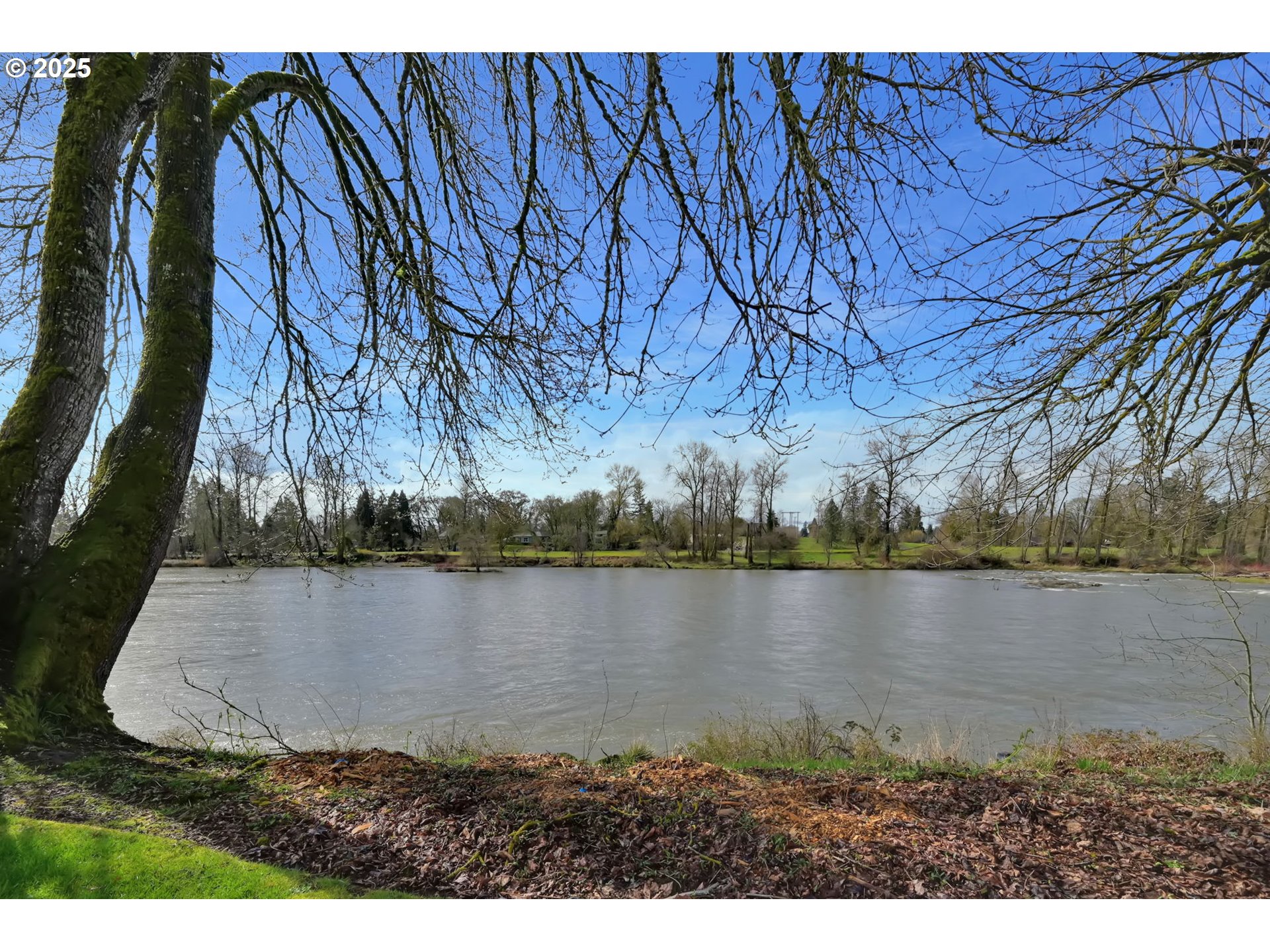 579 Wimbledon Court Eugene, OR 97401 - Photo 43 of 46 a view of lake with mountain