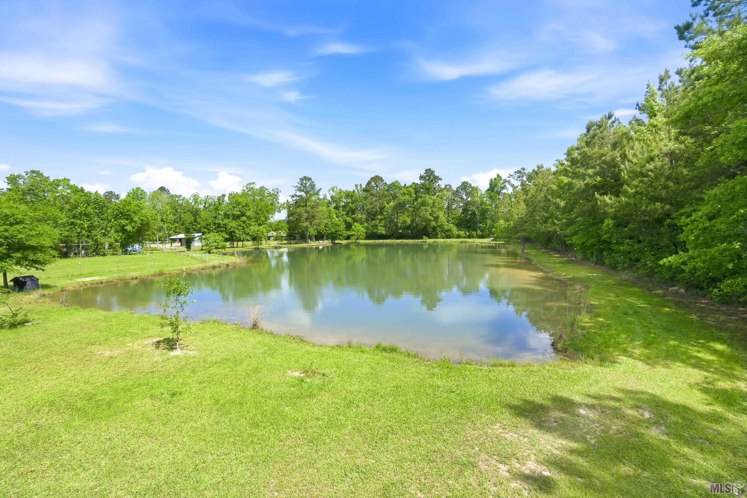 35110 Starnes Road Independence, LA 70443 - Photo 28 of 30 Pond