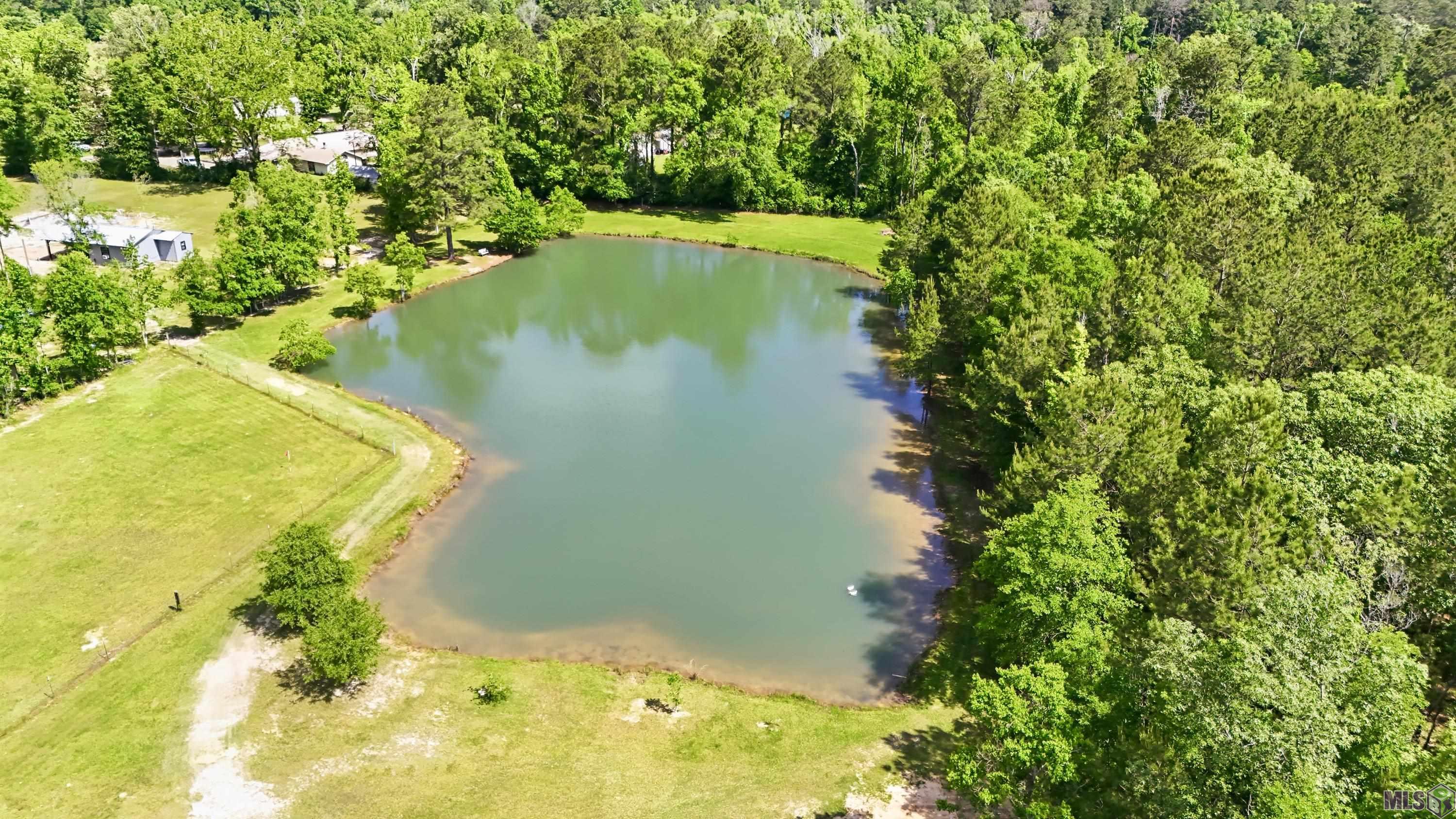 35110 Starnes Road Independence, LA 70443 - Photo 5 of 30 Pond