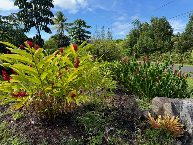 $399,000 | 15-2812 Lai Street, Pahoa, HI 96778