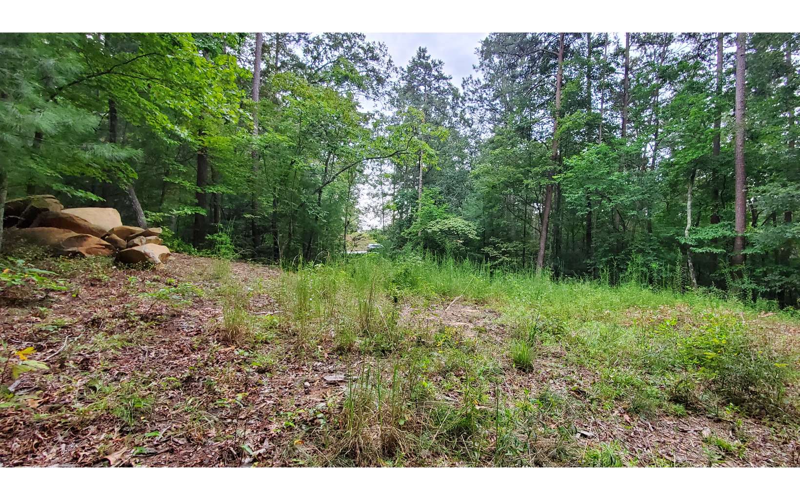 5 Chimney Ridge Ellijay, GA 30540 - Photo 4 of 4 Additional View