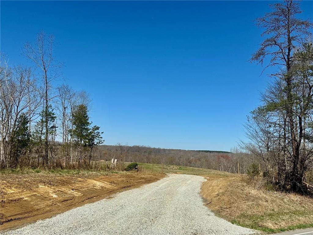 8451 Witty Road Summerfield, NC 27358 - Photo 2 of 7