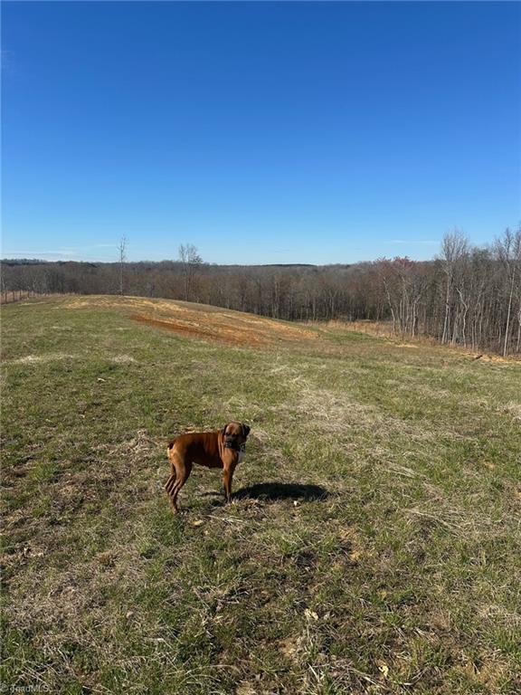 8451 Witty Road Summerfield, NC 27358 - Photo 3 of 7