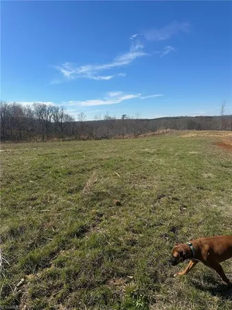 $997,000 | 8451 Witty Road, Summerfield, NC 27358