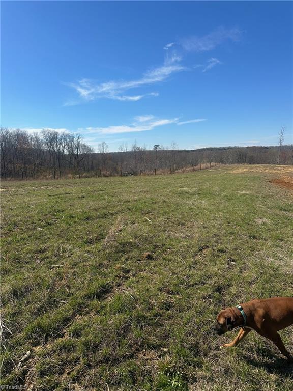 8451 Witty Road Summerfield, NC 27358 - Photo 4 of 7