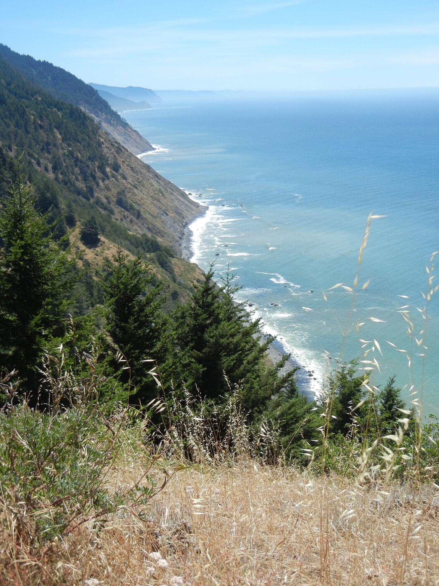 10 Gale Point Whitethorn, CA 95589 - Photo 18 of 20 Views from western property lines and ne