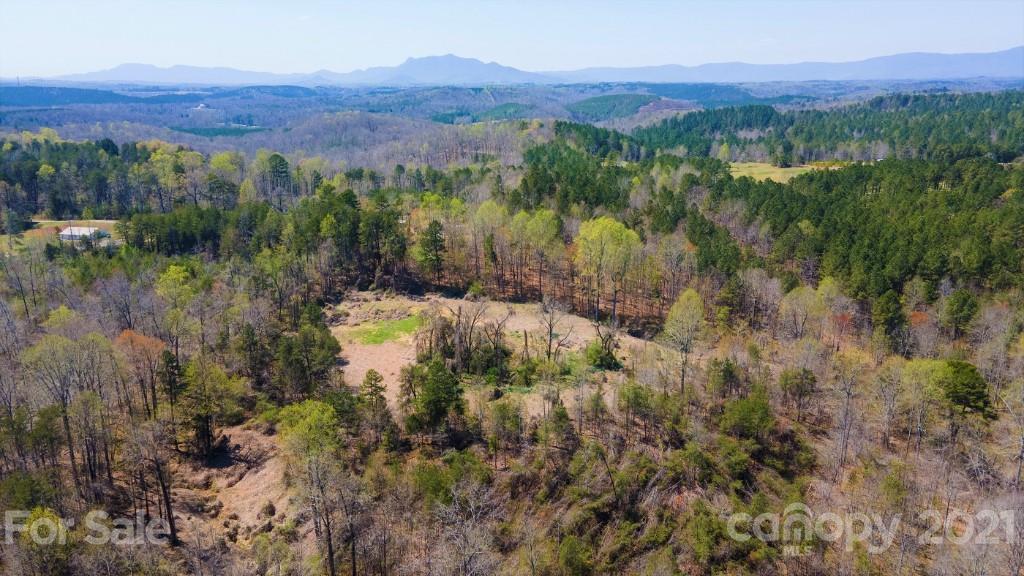 0 Martin Road Rutherfordton, NC 28139 - Photo 1 of 25 a view of a lush green forest with lush green forest