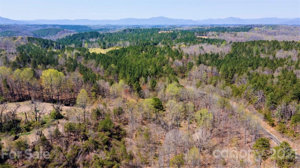 0 Martin Road Rutherfordton, NC 28139 - Photo 2 of 25 a view of city and mountain