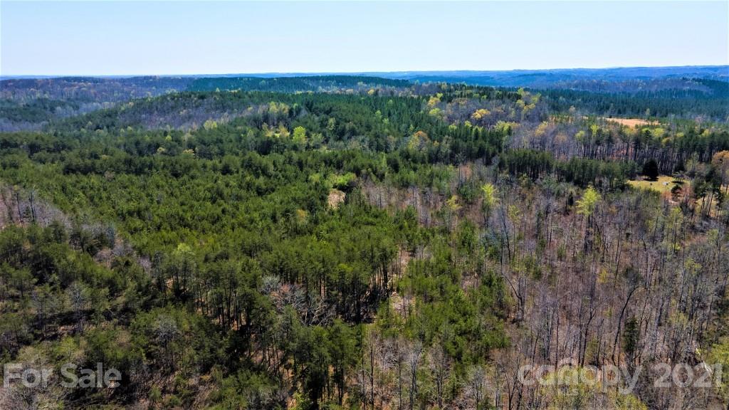 0 Martin Road Rutherfordton, NC 28139 - Photo 11 of 25 a view of a lush green field with lots of bushes