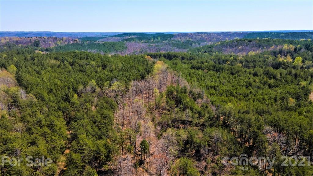 0 Martin Road Rutherfordton, NC 28139 - Photo 12 of 25 a view of a lush green field with lots of bushes