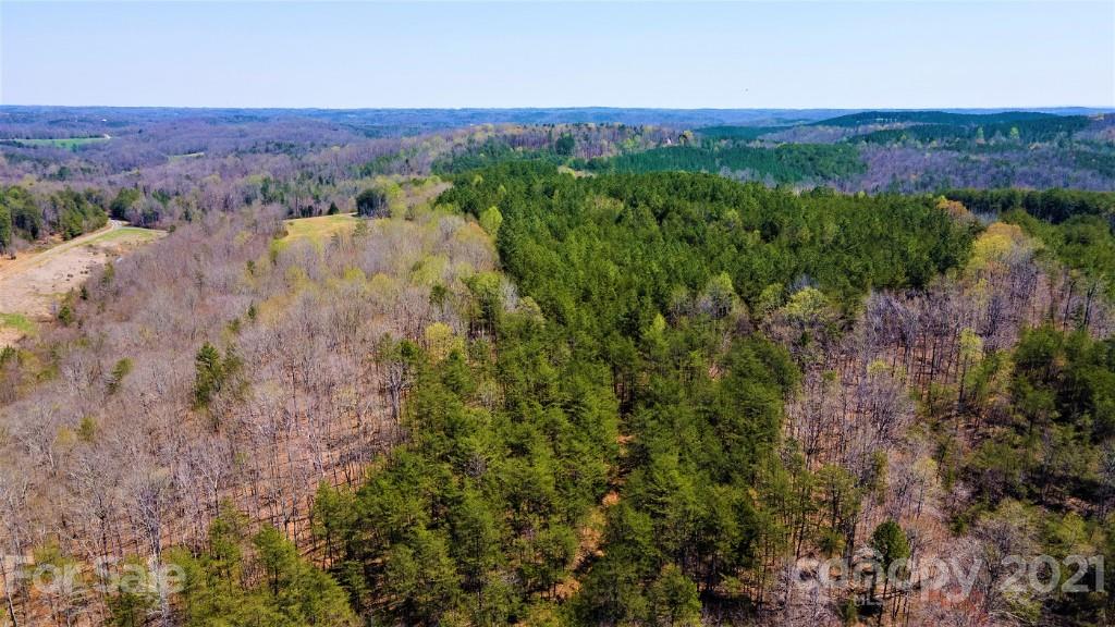 0 Martin Road Rutherfordton, NC 28139 - Photo 13 of 25 a view of a lush green field with a tree in the background