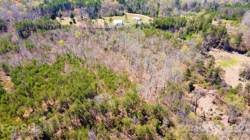 0 Martin Road Rutherfordton, NC 28139 - Photo 14 of 25 a view of a lush green forest with lots of trees